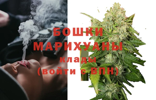 дурь Горняк