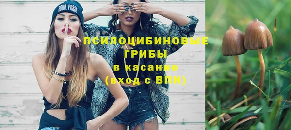 дурь Горняк