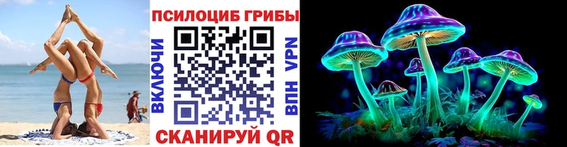 Купить где  Котельники  Галлюциногенные грибы MAGIC MUSHROOMS 